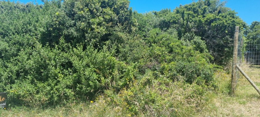 0 Bedroom Property for Sale in Aston Bay Eastern Cape